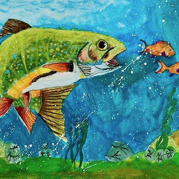 The Nature of the Red Drum Fish