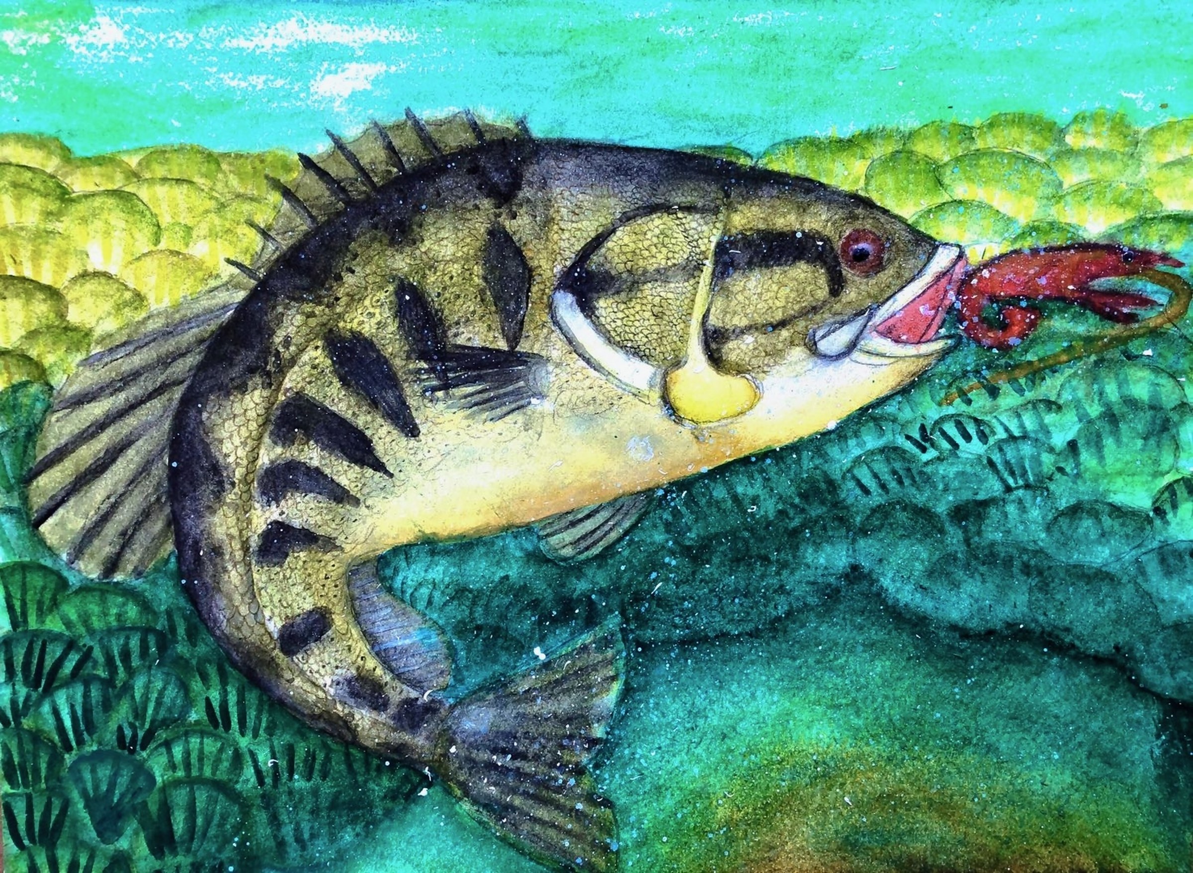 2020-11 Lazy River Fish