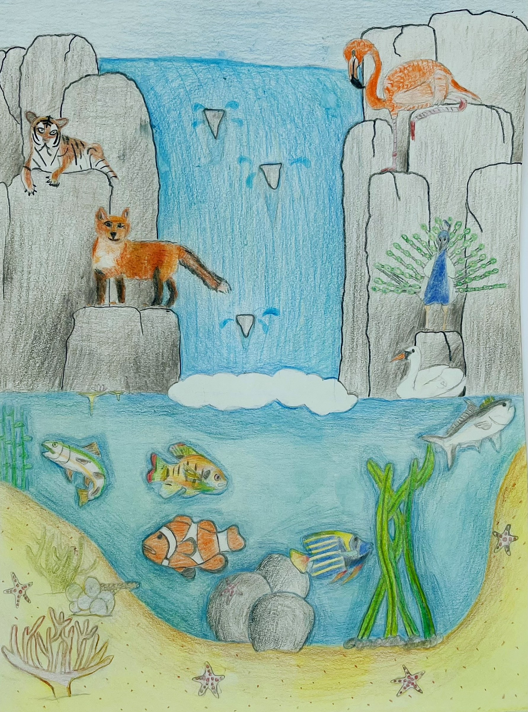 The Special Fox